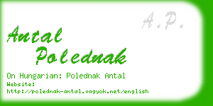 antal polednak business card